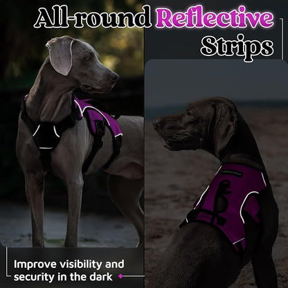rabbitgoo Escape Proof Dog Harness for X-Large, No Pull with Lift Handle | No Escape, Full Soft Padded, Reflective Adjustable Vest, Leash Clip for Walking Hiking Training, Purple, X-Large