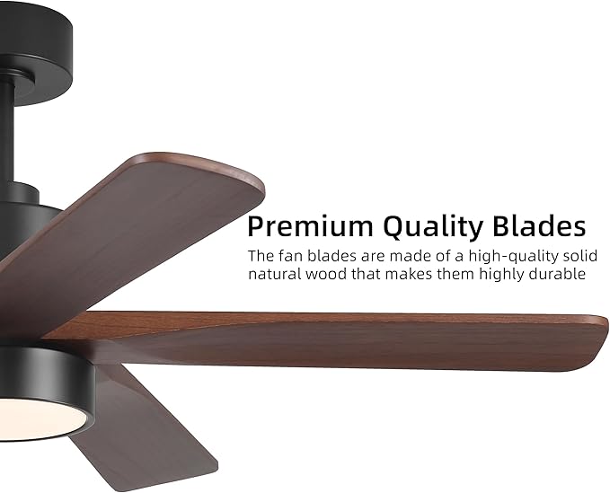 WINGBO 48 Inch DC Ceiling Fan