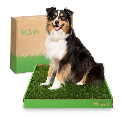 DoggieLawn Real Grass Dog Pee Pads with Tray - Large Dog Potty Pad 24x24 | No-cleaning, odor-reducing puppy potty training pad for housebreaking, indoor or outdoor use, real grass, replace when needed