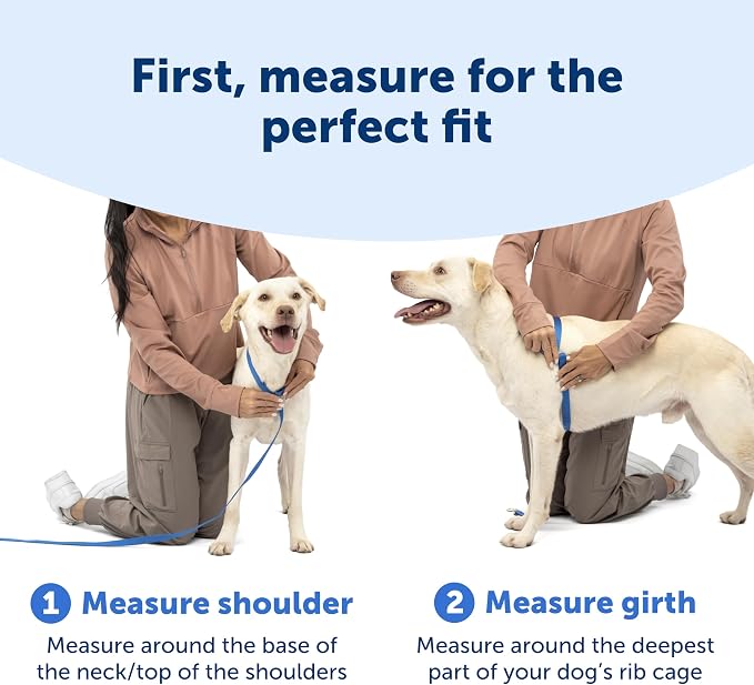 PetSafe Easy Walk Comfort No Pull Dog Harness, Black, Extra Small | Stops Pulling on First Use with Front Martingale Loop, Full-Body Padding, 5-Point Adjustable Fit
