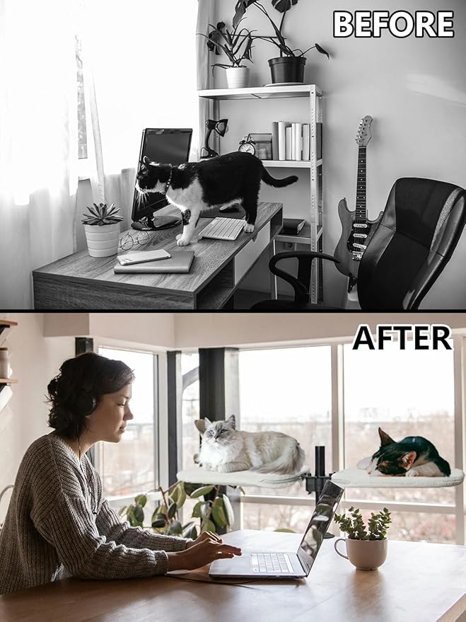 Double Cat Desk Bed - Desktop Attachment Two Cat Perch for Home Office, Spinnable Indoor Desk Mounted Hammock Bed, 2 Elevated Nest for Table, Double Kittens Clamp Hammock for Table(Black)