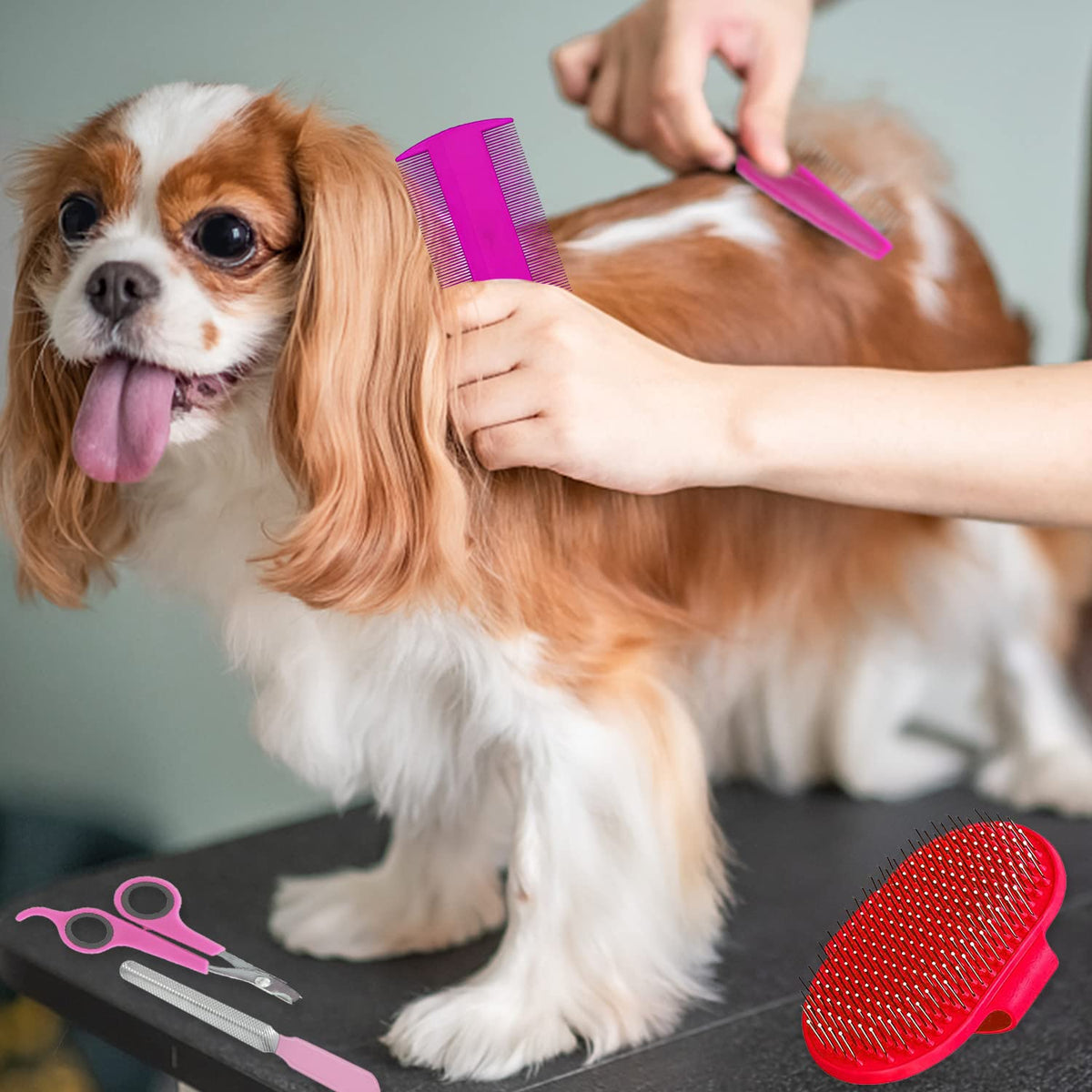 7-Piece Small Pet Grooming Kit: Brush, Nail Clippers, Hair Remover, Shampoo Brush with Hand Strap for Rabbits, Hamsters, Bunnies