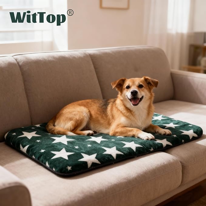 Washable Dog Bed Plush Orthopedic Outdoor Crate Mat with Non-Slip Bottom,Luxe Soft Kennel Pad for Pets, Cozy Cage Cushion & Pet Sleeping Mattress Large Sized,Medium,Small Dogs,36x24 inch,Green