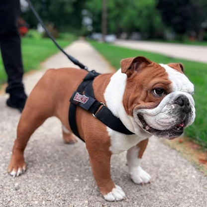 Adjustable Dog Harness– No Pull, No Choke – for English Bulldogs, French Bulldogs, Pugs & Broad-Chested Breeds – Easy, Safe Walks (Shark, Small)