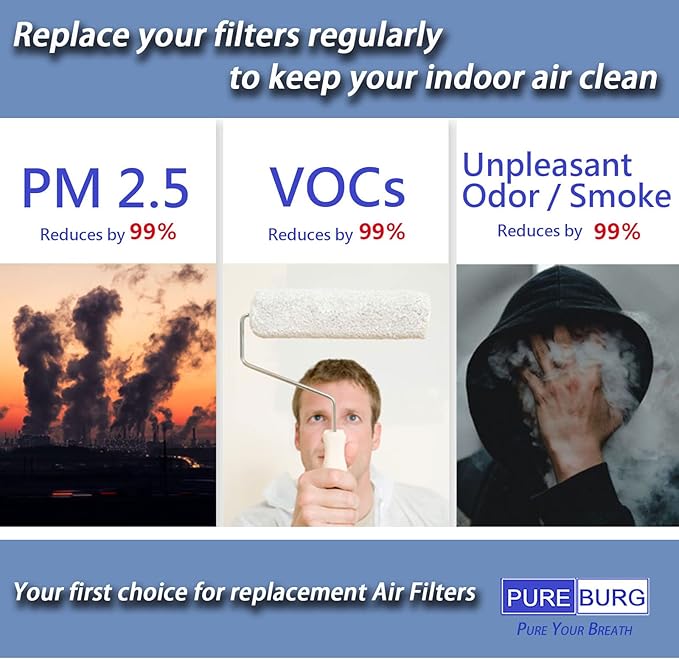 PUREBURG DR-HPA019 Replacement Filter Compatible