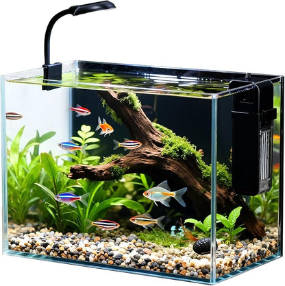 2.5 Gallon Small Fish Tank, Nano Aquarium with Ultra-Clear Glass, LED Light, Filter, Lid, Gravel and Rock, Desktop Beta Fish Aquarium Perfect for Shrimp, Snails or Live Plants
