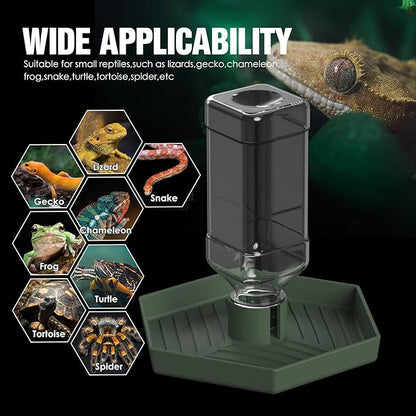 Reptile Water Dispenser-Bearded Dragon Water Bowl - Small Water Dish for Tortoise - Bowls for Reptiles & Amphibians (L)