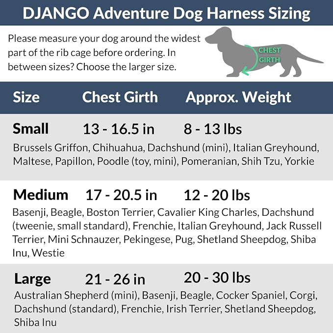 Adventure Dog Harness - Stylish Medium Dog Harness for Outdoor Adventures and Everyday Wear - Dandelion Yellow Neoprene Adjustable Harness for Dogs with Reflective Piping and Solid Brass D-ring