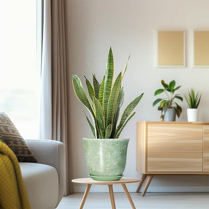 Ceramic Planter - 8 Inch Plant Pot for Indoor Outdoor, Round Flower Pots with Drainage Hole and Saucer, Modern Decorative Planters, Home Office Desk Decor, Gifts for Plant Lovers, Green