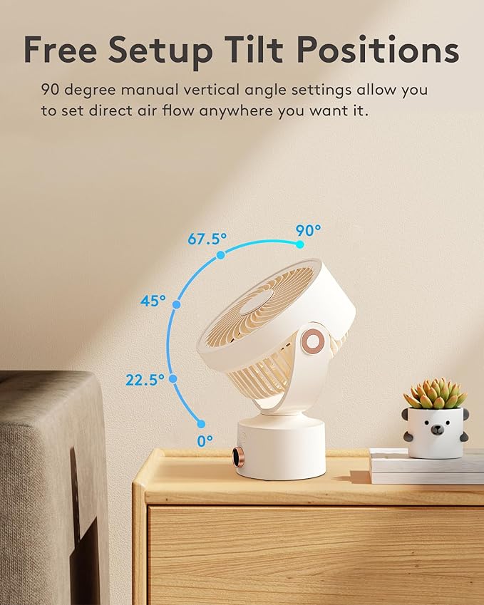 CARONSORT Desk Fan, Small Oscillating Fan