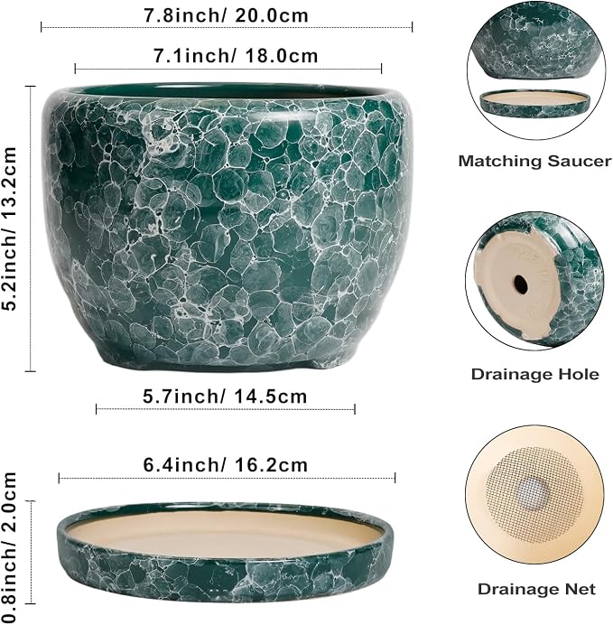 SQOWL 8 Inch Plant Pot - Ceramic Planter for Indoor Plants, Decorative Flower Pot with Drainage Hole and Saucer, Round Planter Outdoor, Room Patio Decor, Garden Gifts for Women, Green
