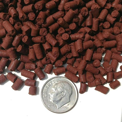 Aquatic Foods Inc. Beef Heart Sinking Bits, APX 1/8" x 5/16" Beef Heart Bits Perfect for Small Discus, Small & Medium Cichlids, All Tropical Fish - 2-lbs Large Jar
