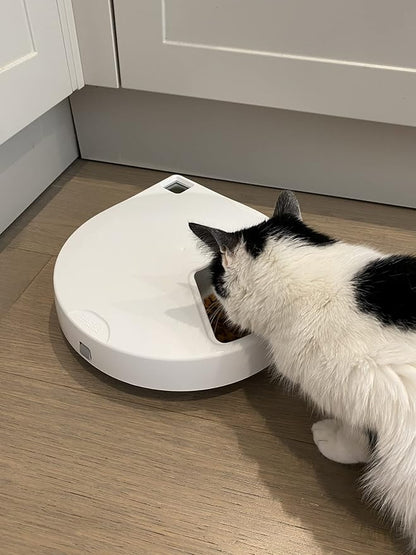 Closer Pets C500 Five-Meal Automatic Pet Feeder with Stainless Steel Bowls