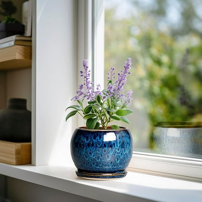 SQOWL 6 Inch Plant Pot - Ceramic Planter Pot with Drainage Hole and Saucer, Succulent Pot Round Flower Pot for Indoor Plants Outdoor, Blue