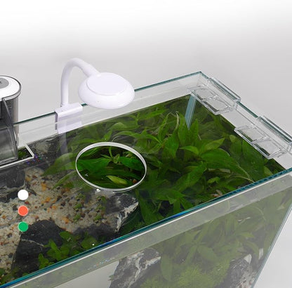 3 Gallon Glass Small Fish Tank, Betta Fish Tank Starter Kit with Filter, Lights,Lid.