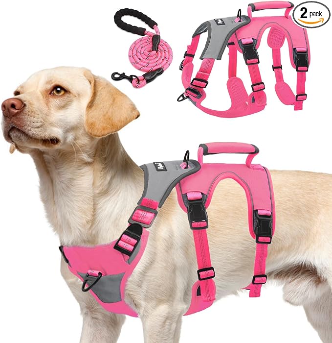 PUPTECK Escape Proof Dog Harness and Leash Set Upgraded No Pull Reflective Dog Vest with Lift Handle, Easy Control Pet Harness for Medium Large Dogs Training Walking Running, Fuchsia, L