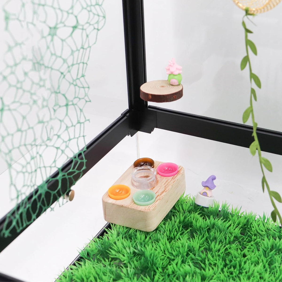 Jumping Spider Accessories, Plastic Feeding Bowl Set with Wooden Base for Food and Water, Mini Bowls, Jumping Spider Feeding Cups, Tarantula Enclosure Accessories