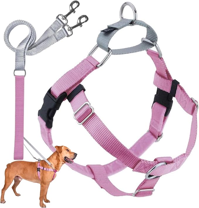 2 Hounds Design Freedom No Pull Dog Harness, Adjustable Harness and Leash Set, Easy Walking & Comfortable Control, Fits Small, Medium & Large Dogs, Solid Colors, Made in USA, 1" XL, Rose