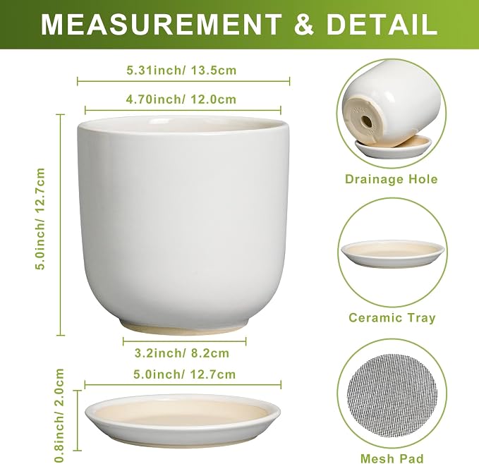 Indoor Plant Pot 5 Inch - Round Ceramic Planter for Succulent Plants with Drainage Hole and Saucer, Modern Home Decor, White