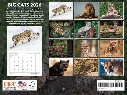 Wild Big Cats Calendar 2026 Wildlife Monthly Wall Calender 12 Month | American Made In The USA