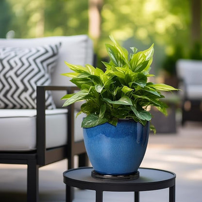 8 Inch Planter - Ceramic Plant Pot with Drainage Hole and Tray Round Planter Modern Flower Pot for Room Home Office Patio Porch Garden Decor Blue
