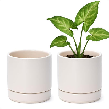 D'vine Dev Set of 2 Plants Pots, 4.7 Inch Ceramic Planter Pot for Plants with Drainage Hole and Saucer, Oatmeal, 94-V-B-8