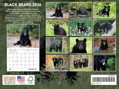 Black Bear Calendar 2026 Monthly Wall Calender 12 Month | American Made In The USA