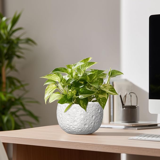 Ceramic Pots for Plants - 6 Inch Plant Pot for Indoor Outdoor, Decorative Orchid Pots with Drainage Hole, Unique Round Modern Planters, Home Decor, Gifts for Plant Lovers, White