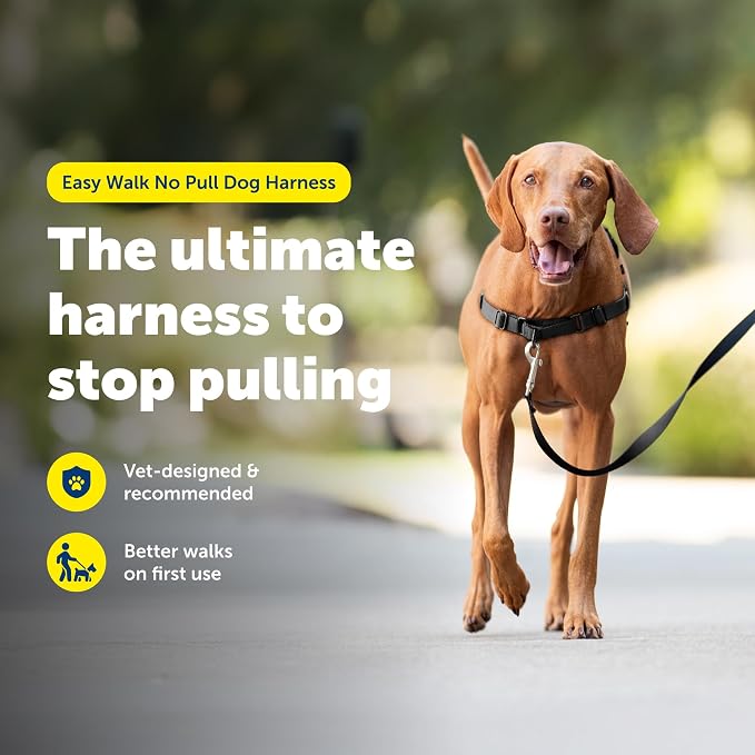 PetSafe Easy Walk Harness, No Pull Dog Harness, Charcoal Gray, Medium | Patented Martingale Loop Gives Gradual Shoulder Pressure to Stop Pulling, Front-Chest Leash Clip Prevents Gagging