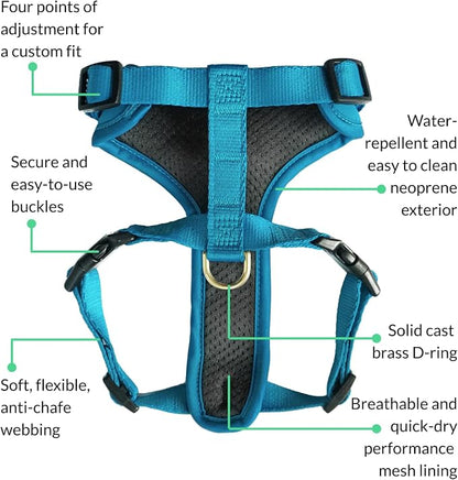 Adventure Dog Harness - Stylish & Durable Large Dog Harness for Outdoor Adventures and Everyday Wear - Pacific Blue Neoprene Adjustable Harness for Dogs with Reflective Piping, Brass D-Ring