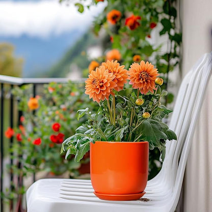 5 Inch Plant Pot - Ceramic Planter for Succulent Cactus Herbs Indoor Plants, Modern Round Flower Pot with Drainage Hole and Saucer, Gifts for Plant Lovers, Patio Office Home Decor, Orange