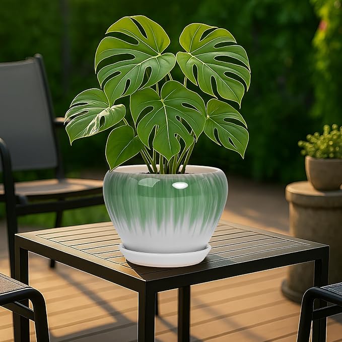 Deep Dream 8 Inch Plant Pots- Ceramic Pots for Plants with Drainage Hole and Saucer, Large Planter Pot for Indoor Plants Outdoor Decor, White&Green