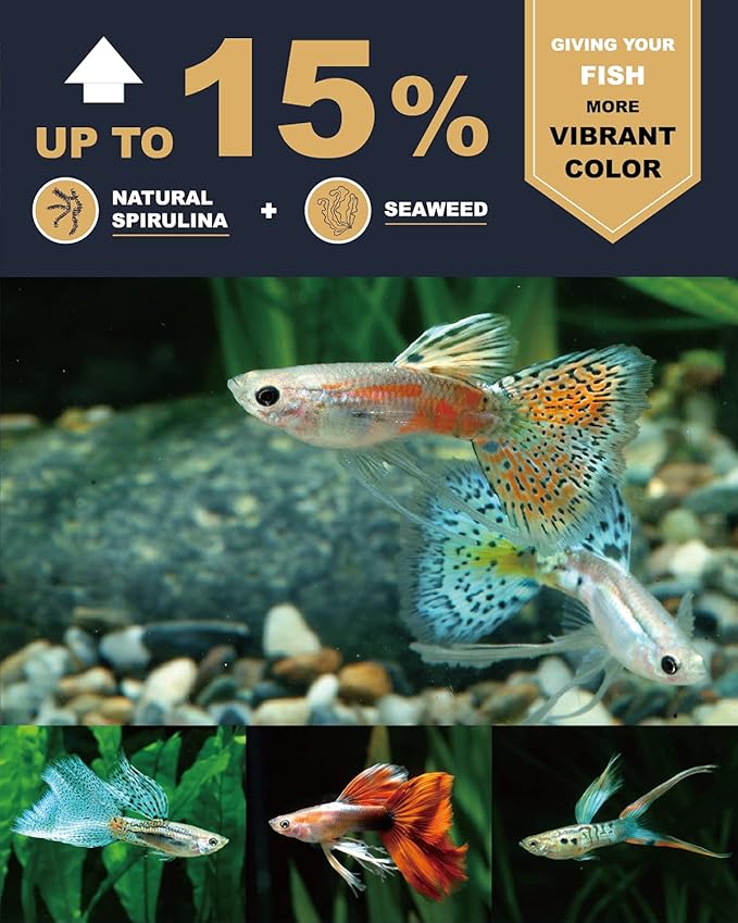 Ultra Fresh Royal Guppy Mignon Pellet, All Natural Guppy Food, Sword Prawns, Spirulina, Seaweeds, Highly Nutritious, for Cleaner Water and More Vibrant Color 4.6 oz