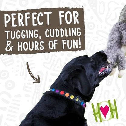 HuggleHounds Plush Dog Toy - Fuzzy Dog Toy, Squeaky Soft Fleece, Interactive Durable Stuffed, for Small and Large Breeds with Squeaker - Feller Squirrel, Small