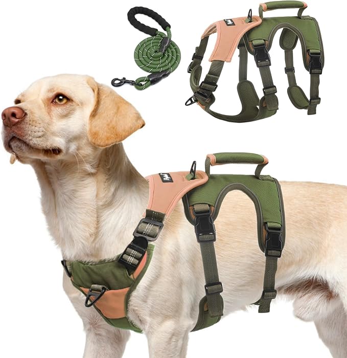 PUPTECK Escape Proof Dog Harness and Leash Set Upgraded No Pull Reflective Dog Vest with Lift Handle, Easy Control Pet Harness for Medium Large Dogs Training Walking Running, Green, XL