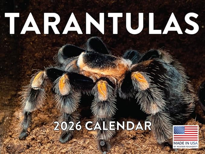 Tarantula Calendar 2026 Spider Monthly Wall Calender 12 Month | American Made In The USA