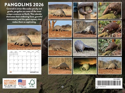 Pangolin Calendar 2026 Monthly Wall Calender 12 Month | American Made In The USA