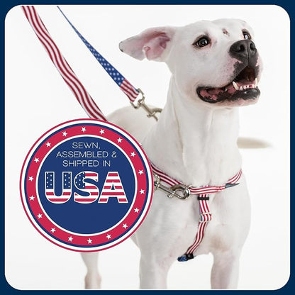 2 Hounds Design Freedom No Pull Dog Harness, Adjustable Harness, Easy Walking & Comfortable Control, Fits Small, Medium & Large Dogs, Solid Colors, Made in USA, 1" MD, Rose