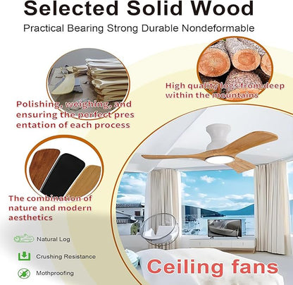 Gaizw 42 Inch Low Profile Ceiling Fans
