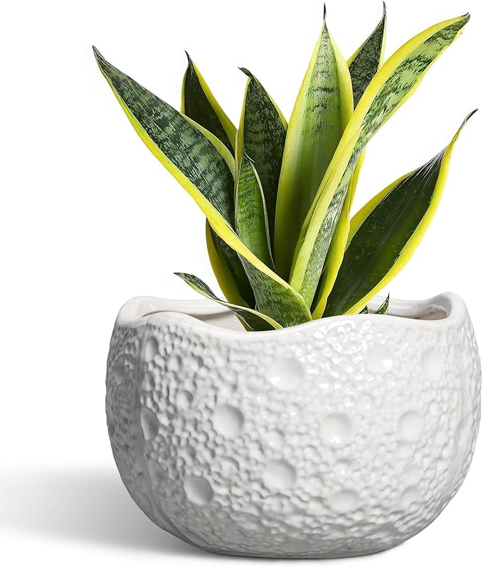 Ceramic Plant Pot - 8 Inch Round Planter with Drainage Hole, Decorative Plant Pots for Indoor Outdoor Plants, Modern Unique Flower Pots, House Living Room Decor, Housewarming Gifts, White