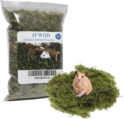 5L Forest Moss for Hamster Syrian Gerbils Bedding, Natural Moss Perfect for Potted Plants, Terrariums, Reptile Tanks and Live Creature Projects