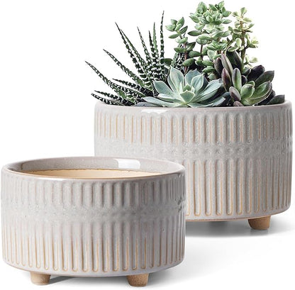 LE TAUCI Succulent Pots, 6.5+8 Inch Ceramic Indoor Plant Pot with Drainage Hole, Shallow Round Succulent Planters, Set of 2, Reactive Glaze Star White