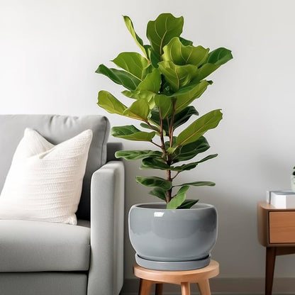 SQOWL 10 Inch Plant Pot - Ceramic Planter for Indoor Plants, Round Ceramic Flower Pot with Drainage Hole and Saucer, Modern Large Outdoor Planter, Room Decor, Housewarming Gifts, Gray