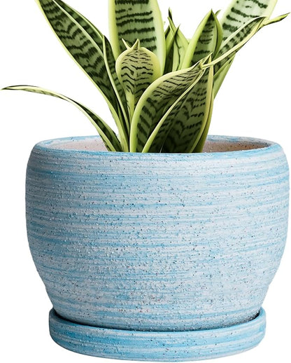 SQOWL Ceramic Planters for Indoor Plants - 6 Inch Plant Pot Indoor Outdoor, Decorative Flower Pot with Drainage Hole and Saucer, Round Succulent Planter, Home Apartment Decor, Garden Gifts, Blue