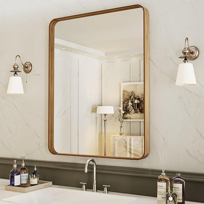 LOAAO 20X30 Inch Bathroom Mirror