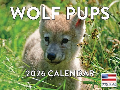 Baby Wolf Calendar 2026 Wall Monthly Pup Wolves Gifts For Wolf Lovers Women Men | American Made In The USA