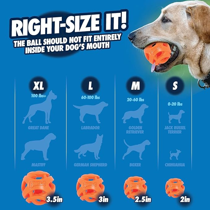 Chuckit! Air Fetch Ball Dog Toy, Medium (2.5 Inch Diameter), for dogs 20-60 lbs, Pack of 2