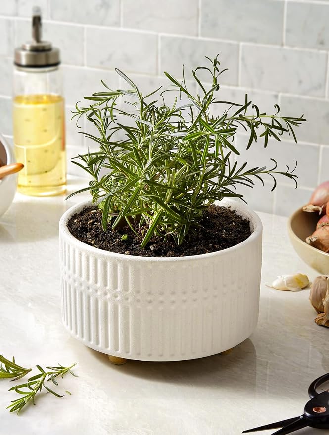 LE TAUCI Succulent Pots, 6.5+8 Inch Ceramic Indoor Plant Pot with Drainage Hole, Shallow Round Succulent Planters, Set of 2, Matte White