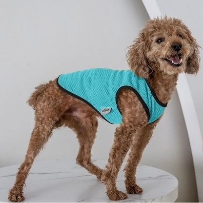 2 Pack Cooling Shirts for Dogs, Lightweight Mesh Breathable Dog Clothes for Small Dogs Boy Girl,Sun-Protection Sleeveless Shirts for Dog&Cat Puppy Vest Pet Apparel - S