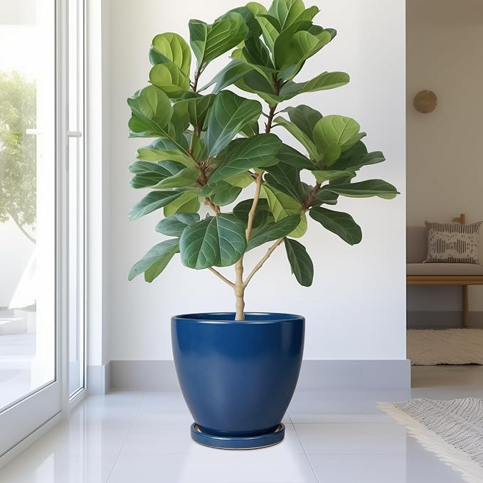 10 Inch Plant Pot - Ceramic Planter with Drainage Hole and Saucer, Modern Flower Pot, Round Planters for Indoor Plants, Home Patio Bathroom Porch Garden Living Room Decor, Blue